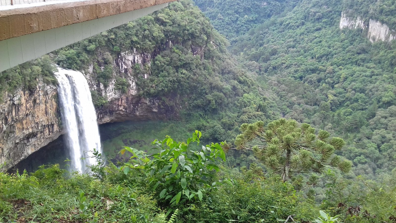 Canela, Serra gaúcha - RS