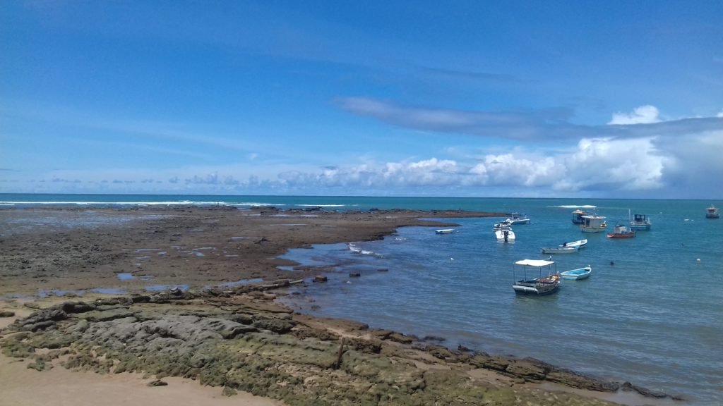 bahia forte