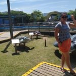 Projeto Tamar