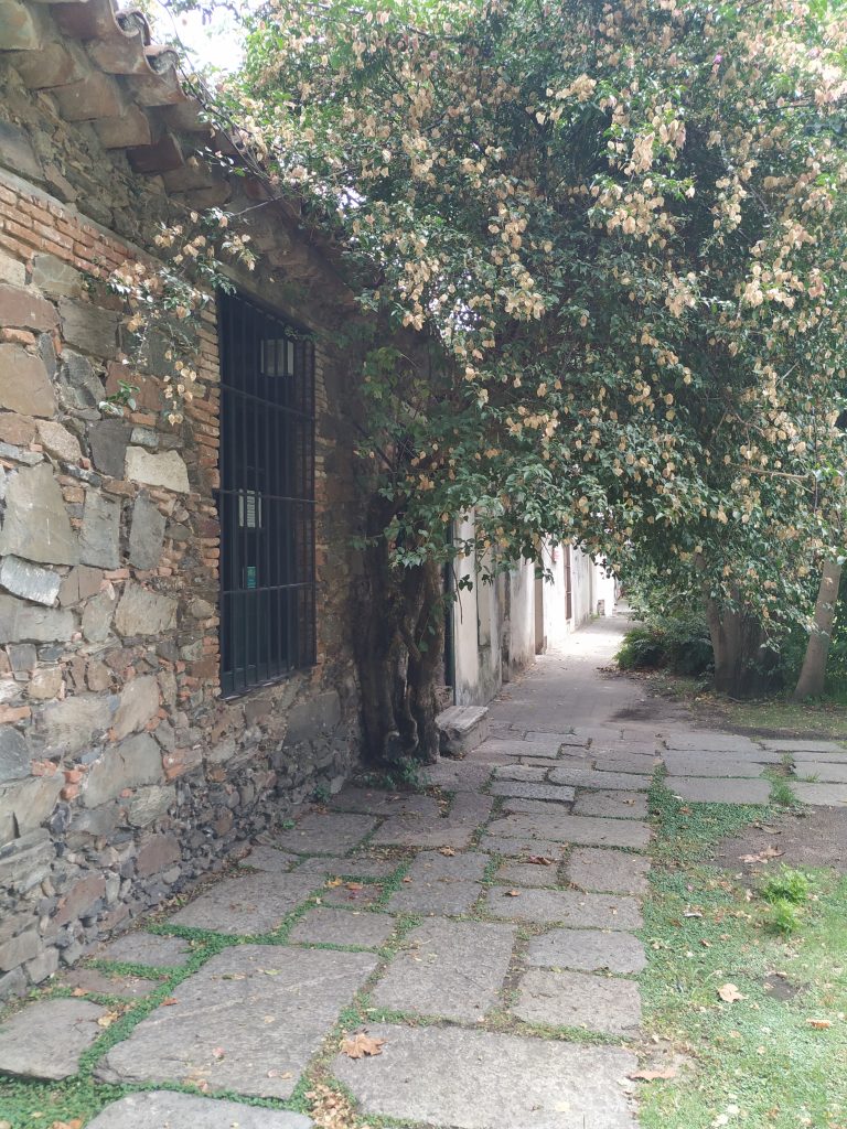 museu português