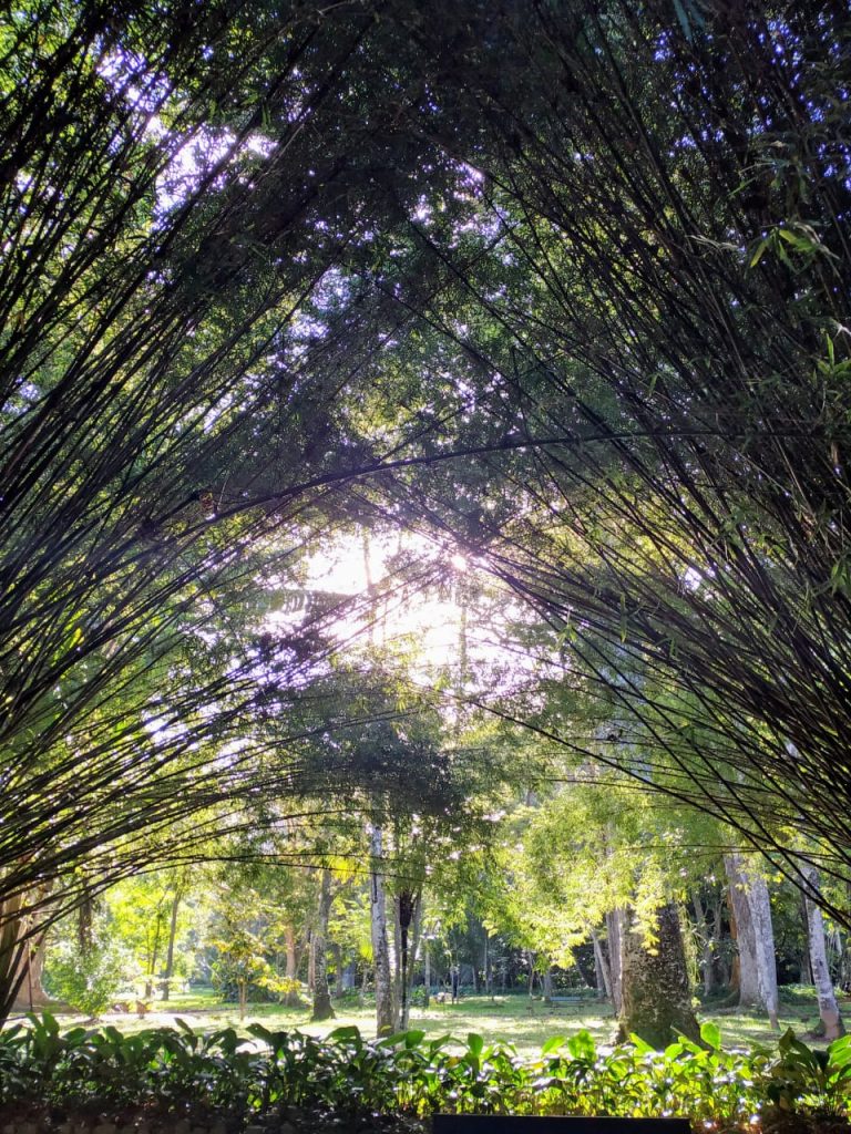Jardim Botânico do Rio de Janeiro