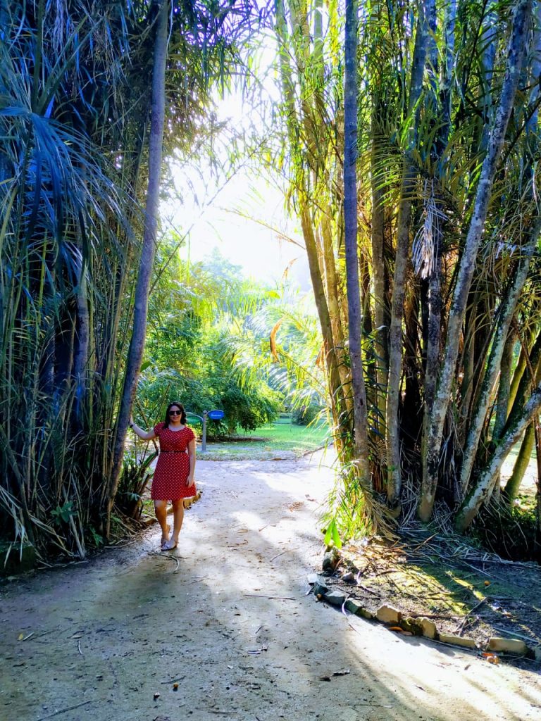 Jardim Botânico do Rio de Janeiro