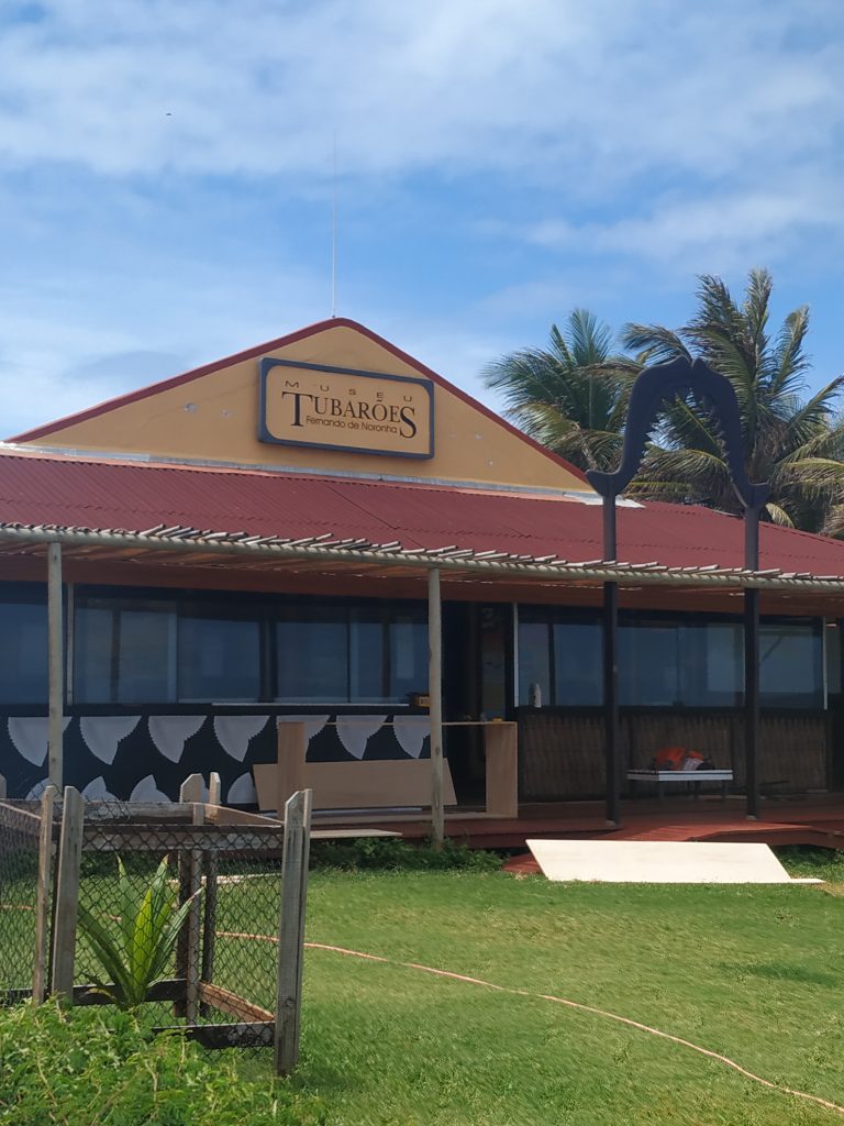 Museu dos tubarões mais uma opção de o que fazer em Fernando de Noronha