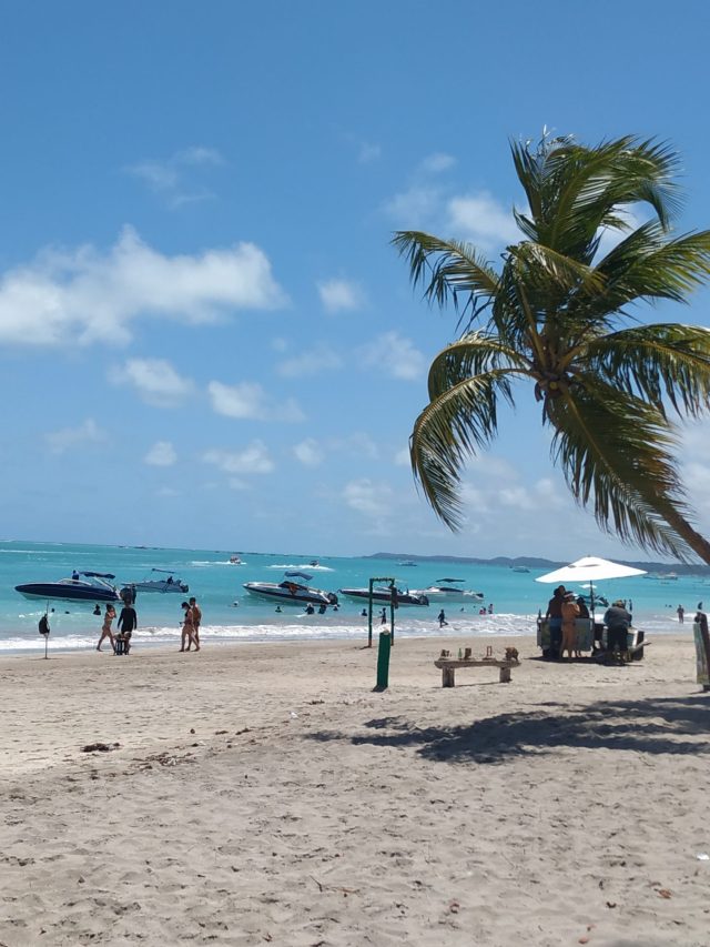 5 dicas para sua viagem a Maragogi