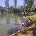 O que fazer em Goiânia