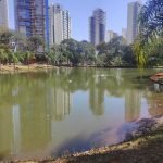 O que fazer em Goiânia